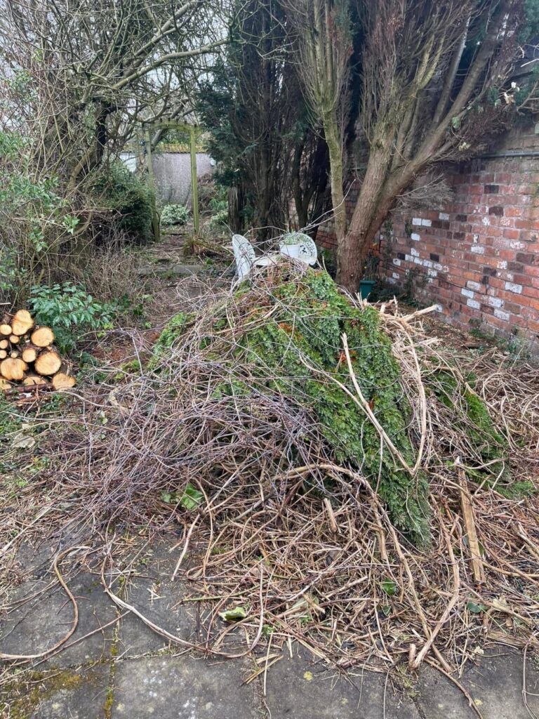 Overgrown garden area with piled branches, moss-covered debris, and trees beside a brick wall.