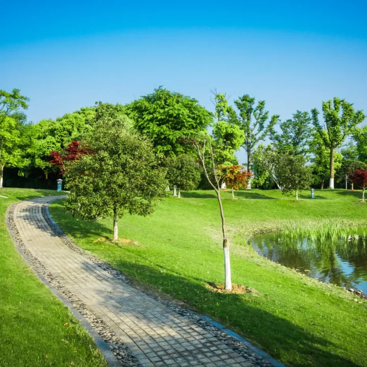 A serene park landscape with a curved stone pathway, lush green grass, various trees, and a calm pond reflecting the blue sky.